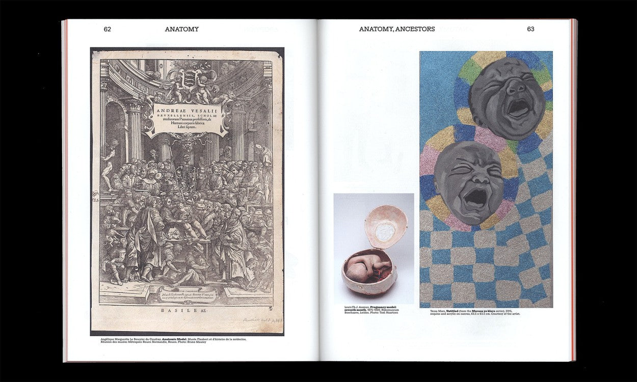 Book pages featuring historical artwork and anatomical illustrations exploring birth and ancestors