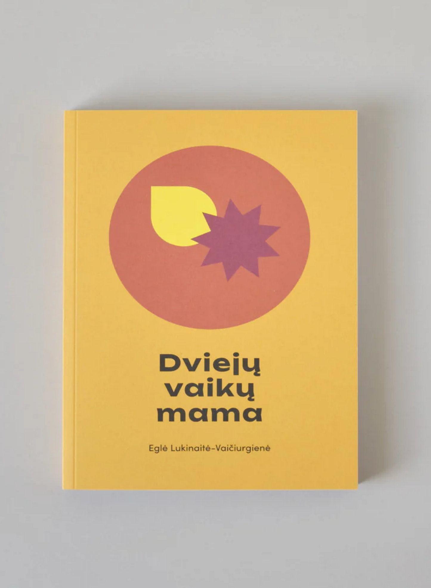 Knyga "Dviejų vaikų mama" Eglė Lukinaitė-Vaičiurgienė