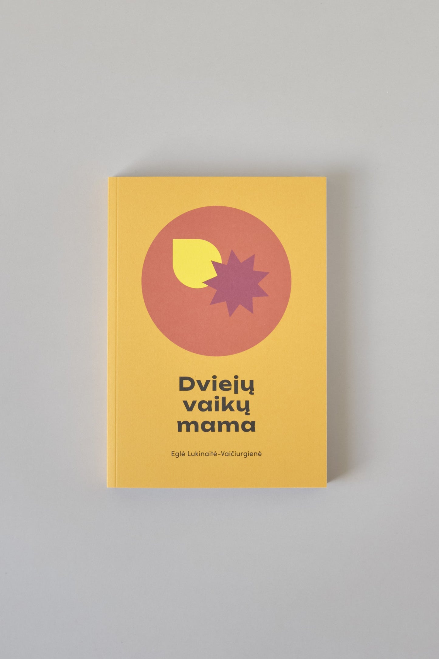 Knyga "Dviejų vaikų mama" Eglė Lukinaitė-Vaičiurgienė